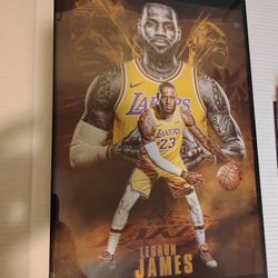 LeBron James 12 inch x 18 inch GLASS Frame 