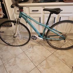 Raleigh Eva 4.0 2013 