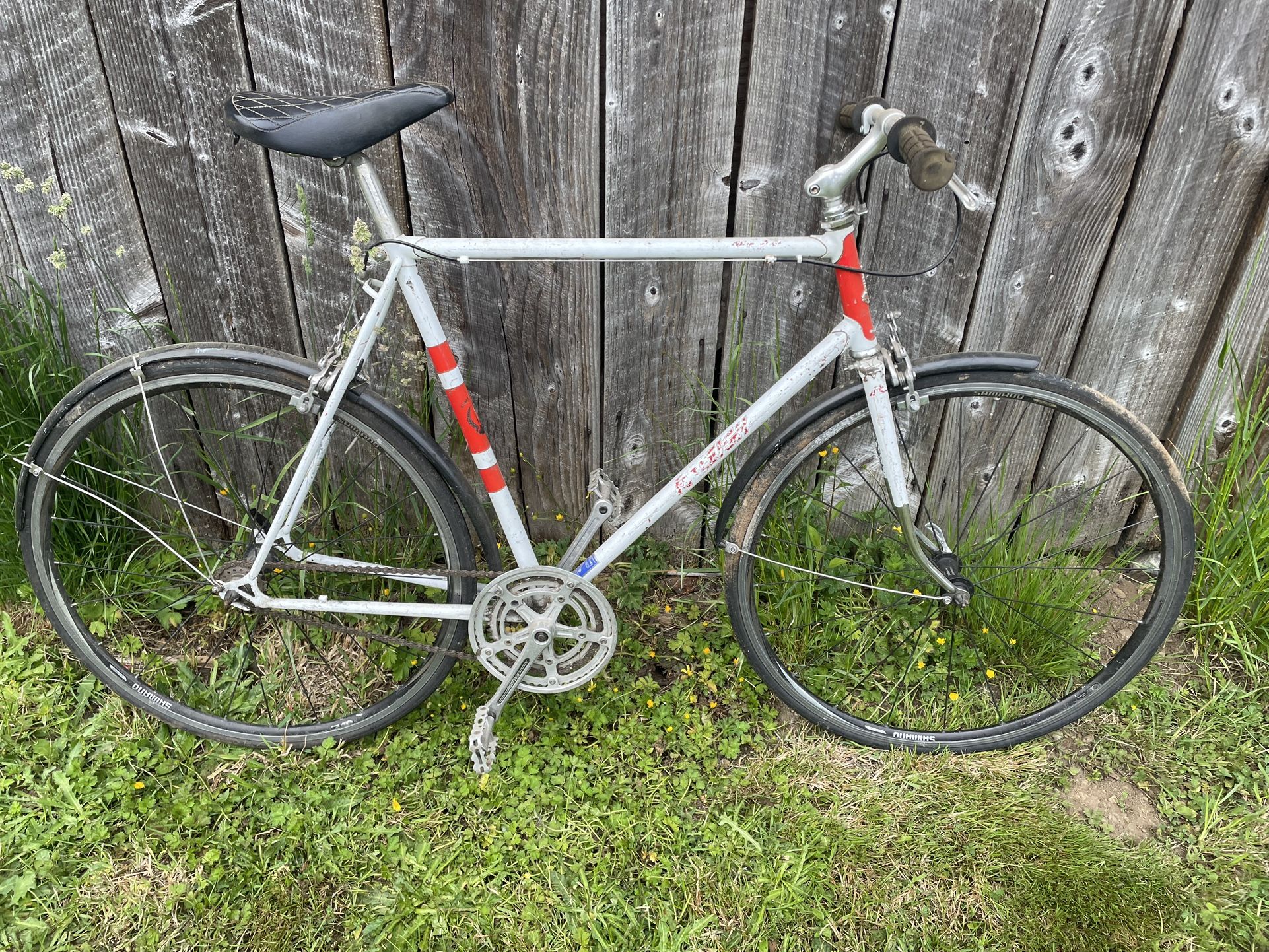 LARGE Raleigh Road Bike