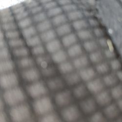 Bamboo Garden Stakes Cut to length for Indoor or outdoor garden or Houseplants.