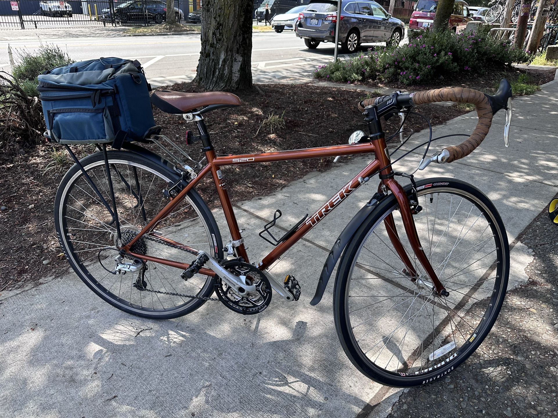 Original Vintage Trek 520 Road Bike Size 51