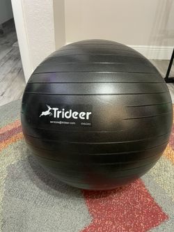Physio Exercise Ball