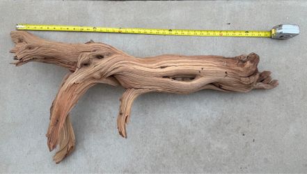 Sand blasted manzanita reptile wood.