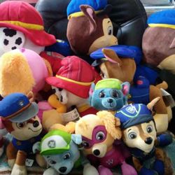 Paw patrol read