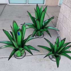 New Painted Green "Tear Drop" Agaves

Large
Approx.
2 ft.3 x 2 ft. 9"      $129.00

Med.
Approx.
2 ft. x 2 ft 5"           $109.00

Small
Approx. 
1 f