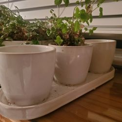 White Ceramic Trio Pot With Base