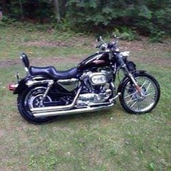 Harley Davidson Sportster 1200 custom