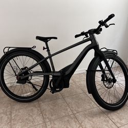 E-bike Serial 1/CTY