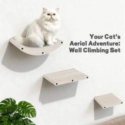 New Wall Mounted Cat Shelves Set of 3 Climber Furniture, Modern Climbing Gym Jungle Design