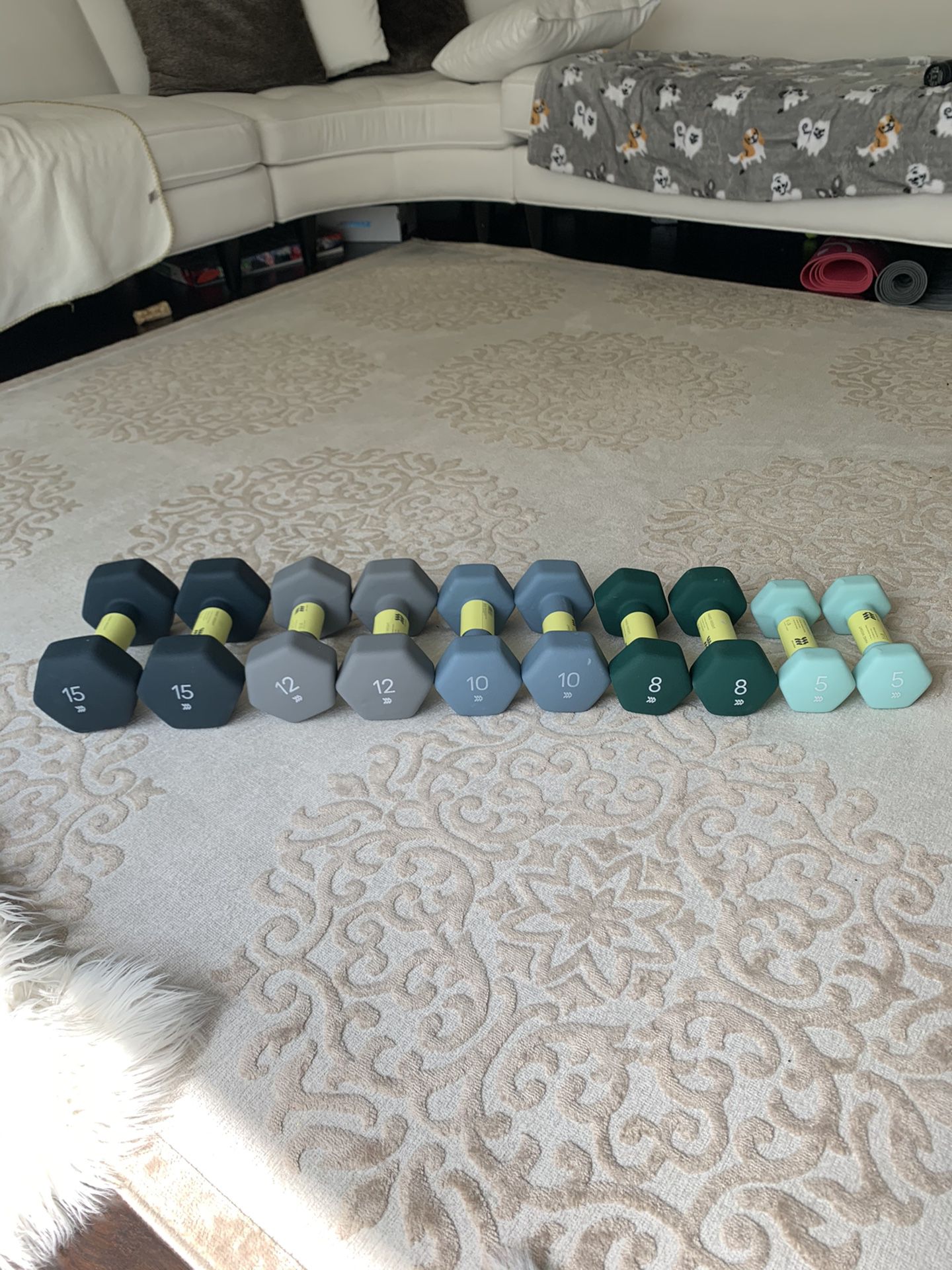 Full Set of Hand Weight Dumbbells (5,8,10,12,15 lbs)