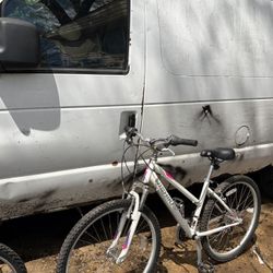 Nishiki mountain Bike 