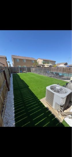 Grass