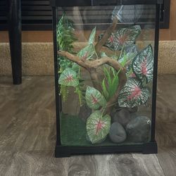Terrium tank