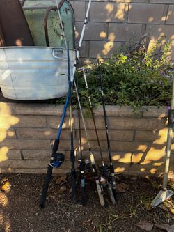 Fishing Rods with Reels