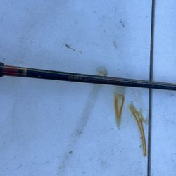 Zebco Fishing Pole And Bass Pro Shop Reel 