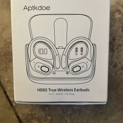 HD65 True Wireless Earbuds 