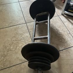 Tricep/bicep bar with weights
