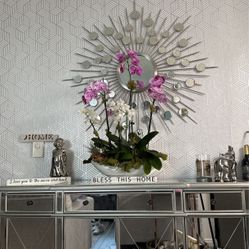 orchids plant for sale 