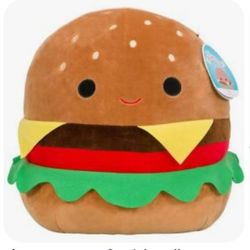 Hamburger Squishmallow In Good Conditions 