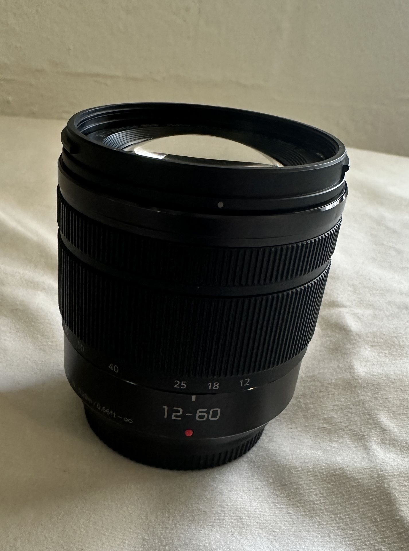 Panasonic LUMIX G Vario 12-60mm Lens