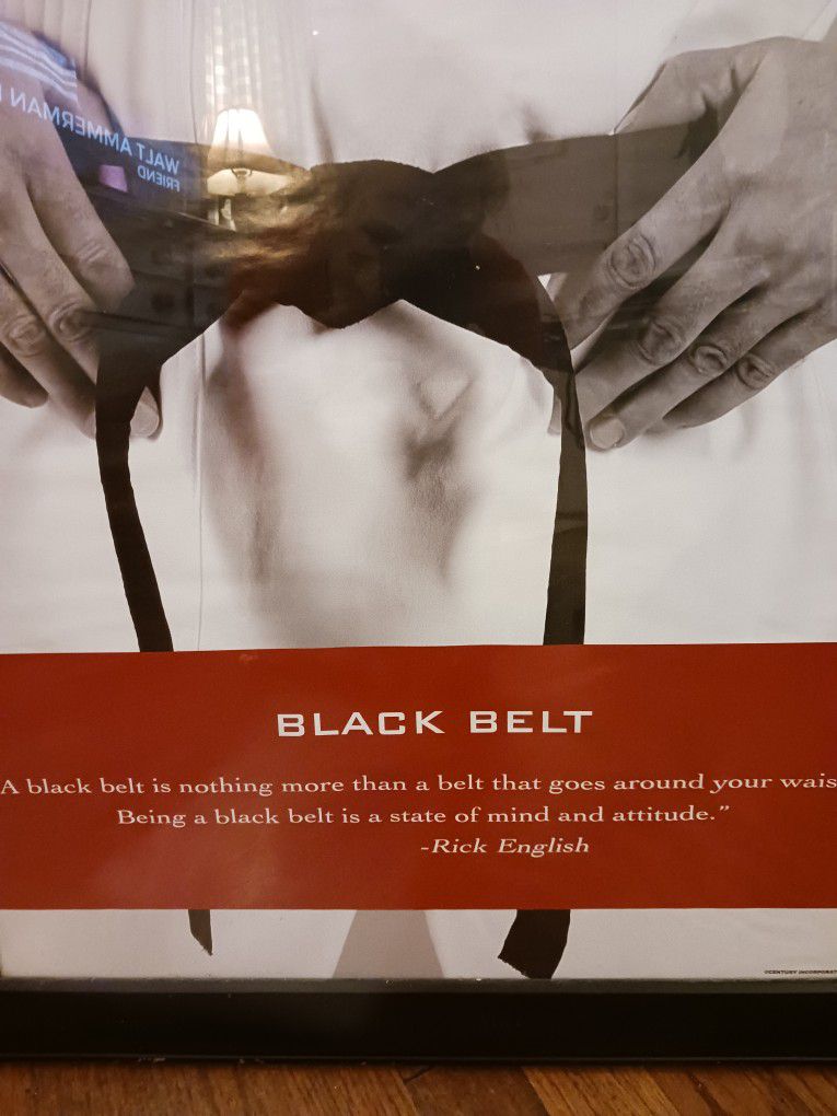 Framed Picture Of Karate Blackbelt