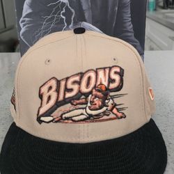 Fitted Bisons Hat