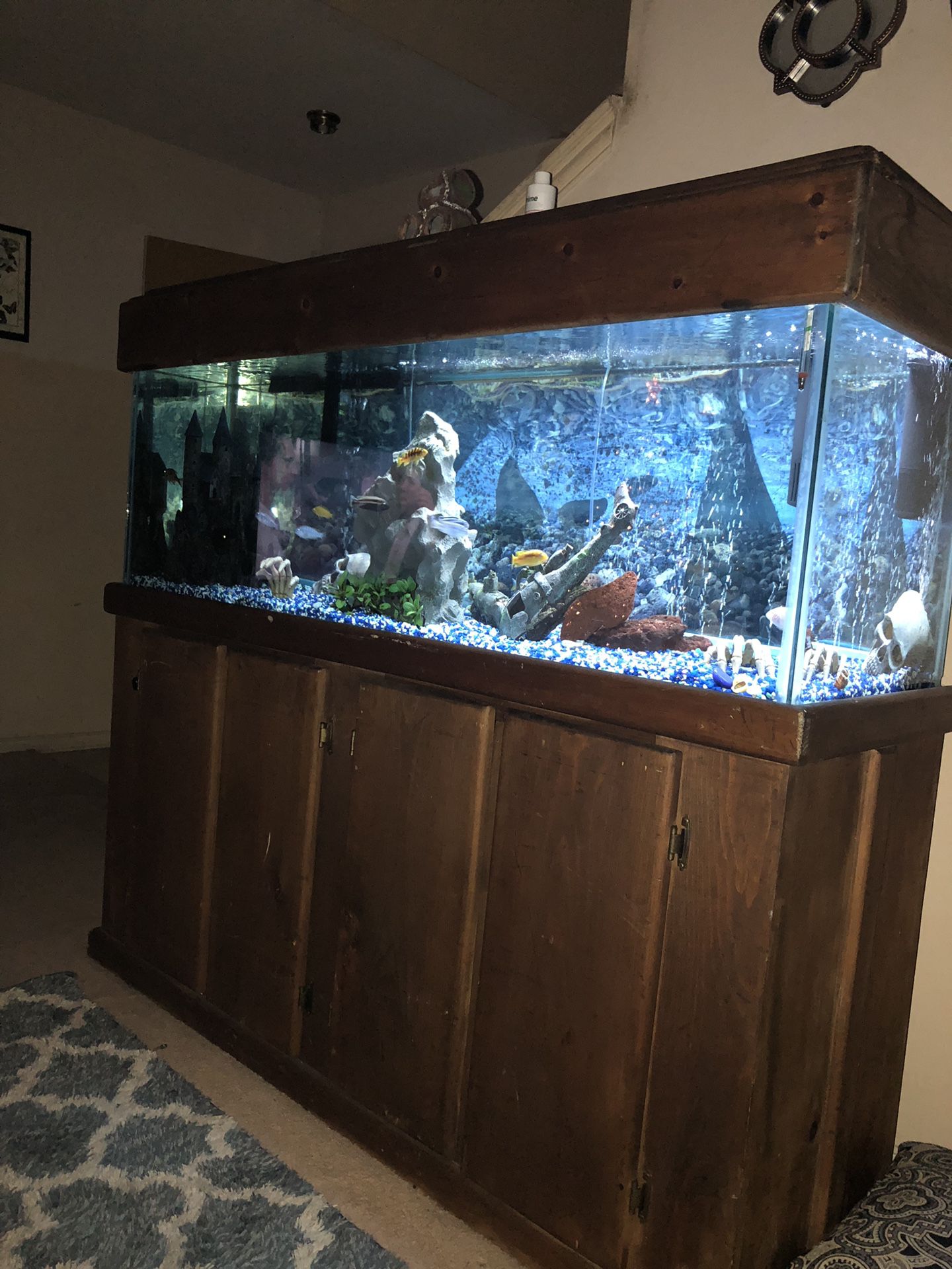 120 gallon Fish tank and stand