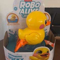 Duck