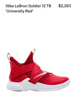 LeBron 12 TB