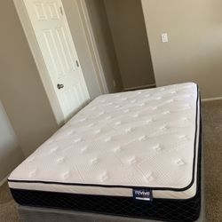 QUEEN REVIVE MATTRESS AND FREE BOX SPRING