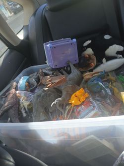 Lots of animal toys