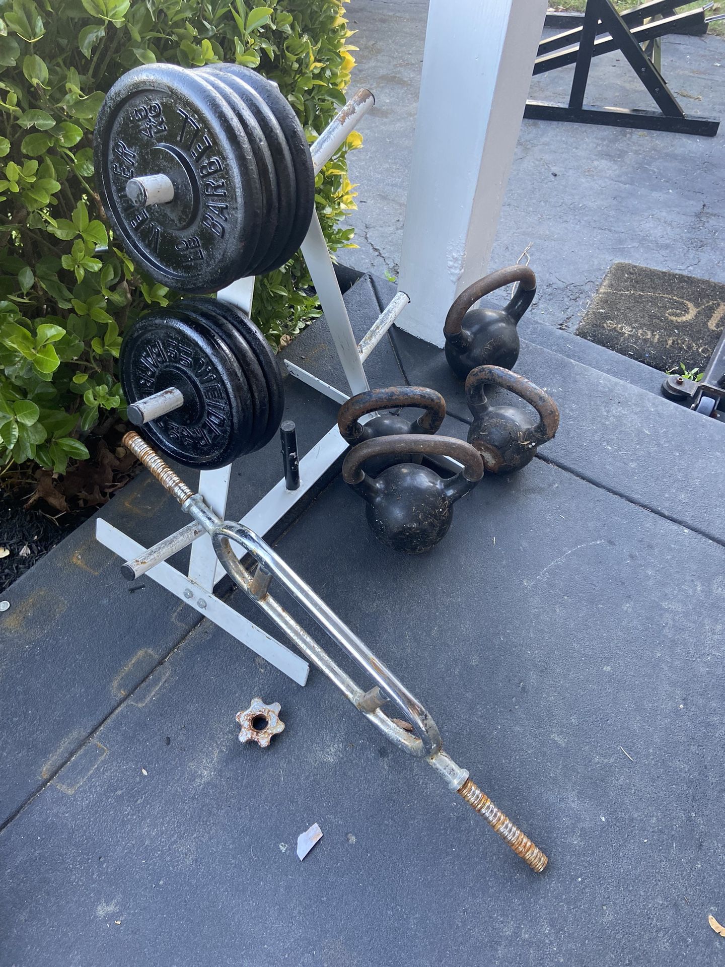 Tricep Ez Curl Bar With 100lbs $100