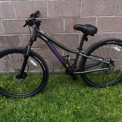 Cannondale Bike 