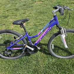 24 inch Schwinn bike