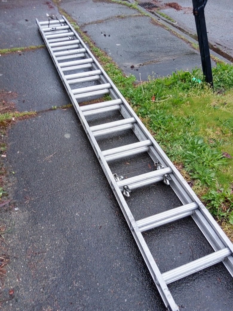 Aluminum Werner Ladder