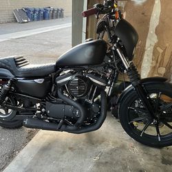 2020 Harley Davidson Sportster 883