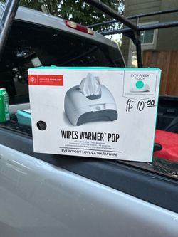 Wipe warmer