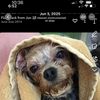 Bently