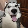 Mawi