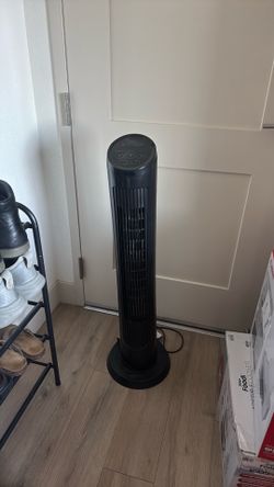 Fan