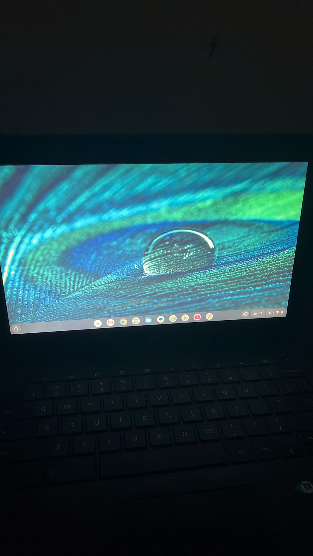 Chromebook Hp