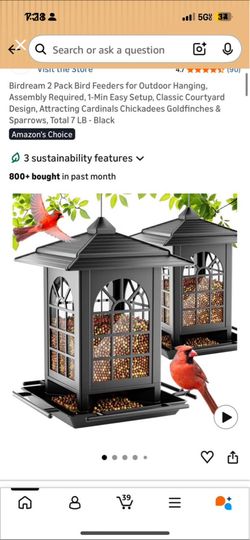 Bird Feeders