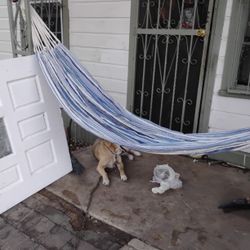 Single Hammock