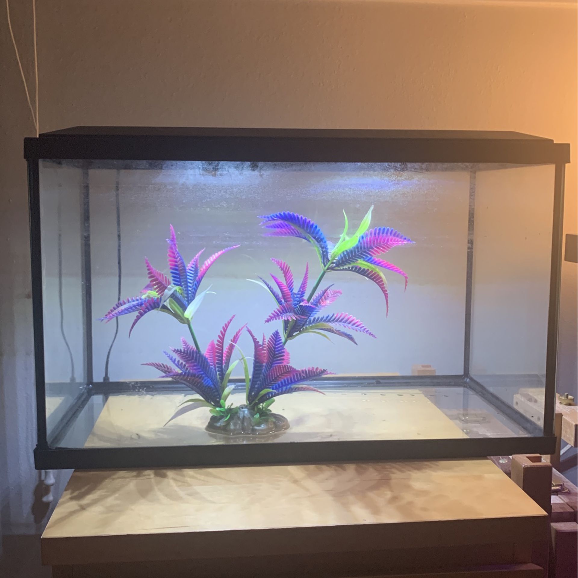 10 Gallon Fish Tank With Top Lid Light And Tree Decor