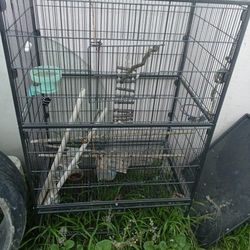 Bird Cage