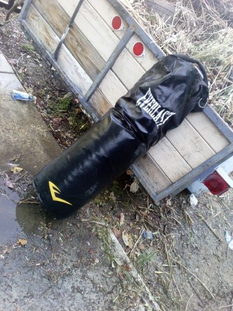 Everlast MMA Boxing Equipment