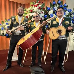 Mariachi Trumpet, Violin, Guitar, Guitarron