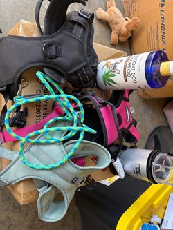 Dog Harnesses, Leash & Shampoo
