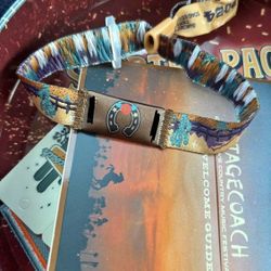 Stagecoach Passes 