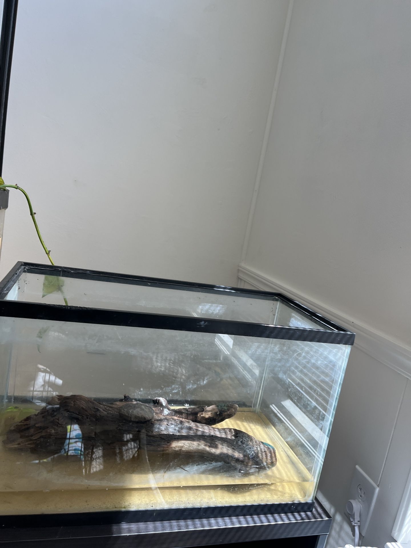 10 Gallon Fish Tank